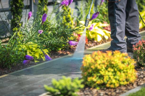 Best Post-Construction Pressure Washing  in Hebbronville, TX
